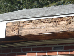 wood rot behind alumimun